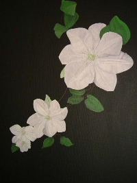 Clematis, Gillian Blades, Notelets,Click on image