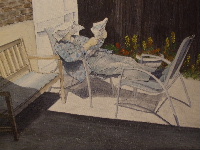 Retired, Acrylic .N.F.S 
