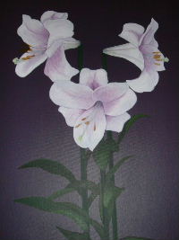 Longiflorum Lillies, Notelets. �4.99